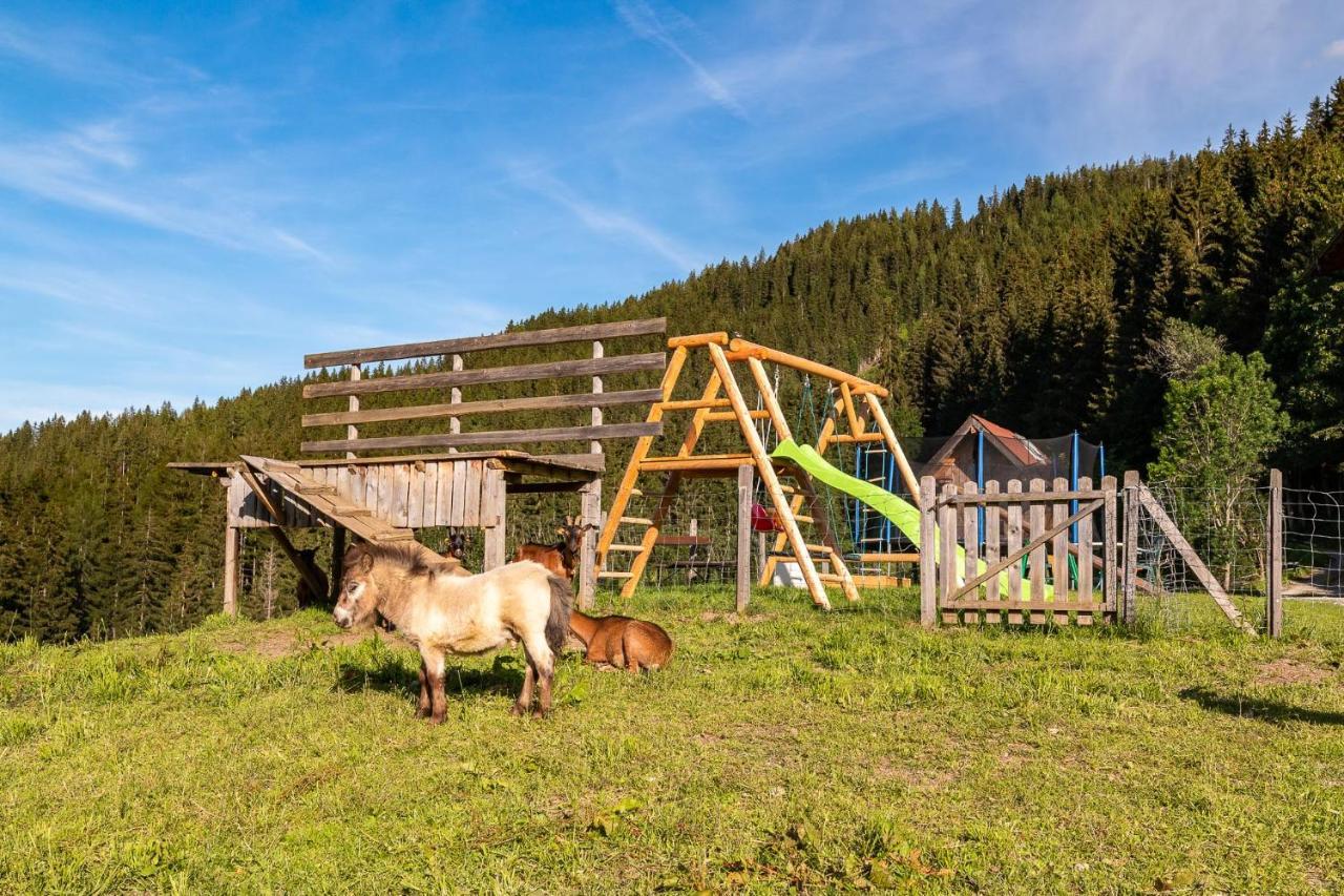 Bucheggerhof Apartment Schladming Exterior photo